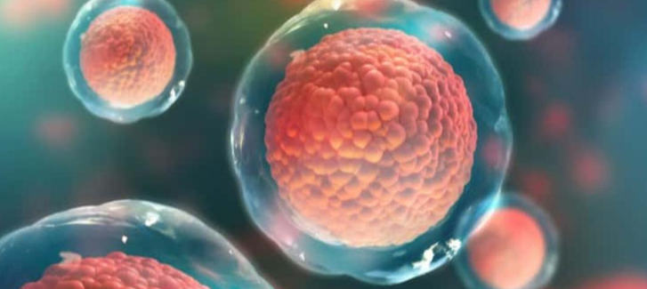 توسعه‌ی روش‌های پرینت سه‌بعدی جدید برای تولید سلول‌های بنیادی 